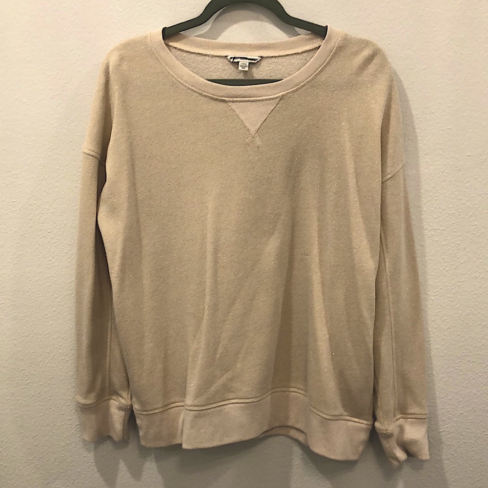 NWOT American Eagle Outfitters sparkle sweatshirt